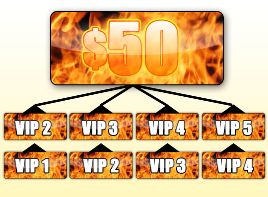 VIP HEAT PROMOTION